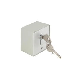 ABK803D1 Kulcsos kapcsoló, rácsos legördülő ajtókhoz, 2 kapcsolós, COM-NO-NC,250V,6A