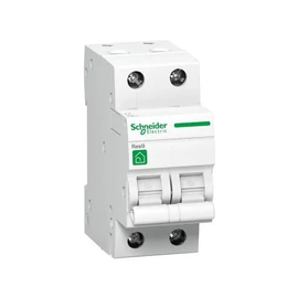 Kismegszakító - Circut breaker 2P C 20A 4,5kA R9F 2 MOD. Resi9 Schneider