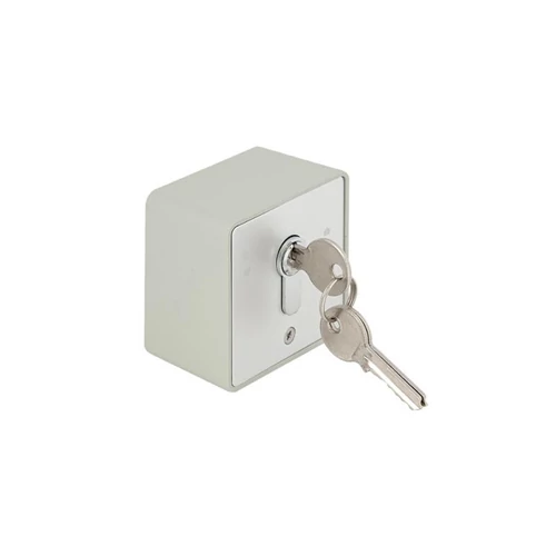 ABK803D1 Kulcsos kapcsoló, rácsos legördülő ajtókhoz, 2 kapcsolós, COM-NO-NC,250V,6A